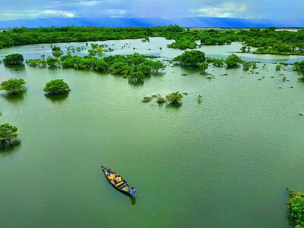 Ratargul Swamp Forest